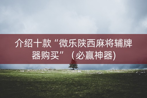介绍十款“微乐陕西麻将辅牌器购买”（必赢神器)