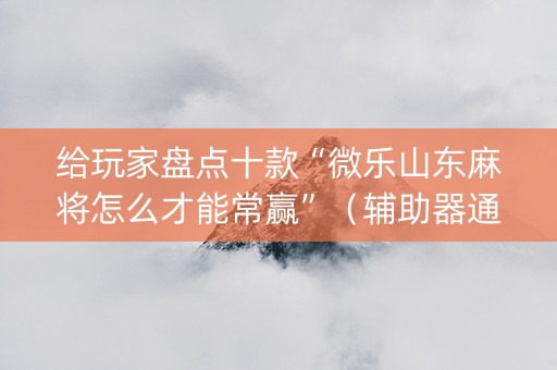 给玩家盘点十款“微乐山东麻将怎么才能常赢”（辅助器通用版)