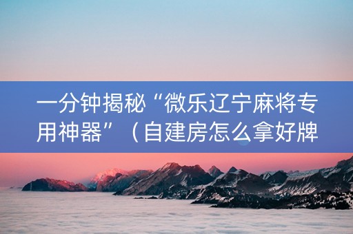 一分钟揭秘“微乐辽宁麻将专用神器”（自建房怎么拿好牌)