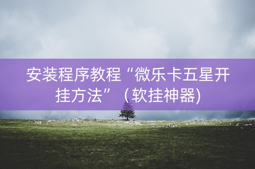安装程序教程“微乐卡五星开挂方法”（软挂神器)