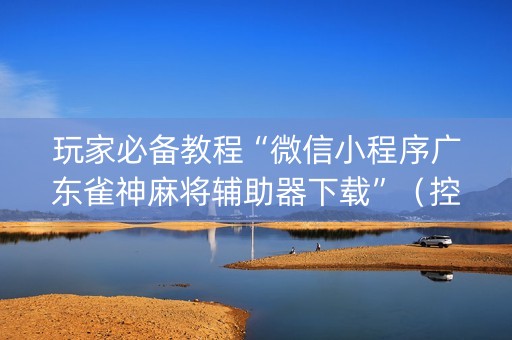 玩家必备教程“微信小程序广东雀神麻将辅助器下载”（控牌神器)
