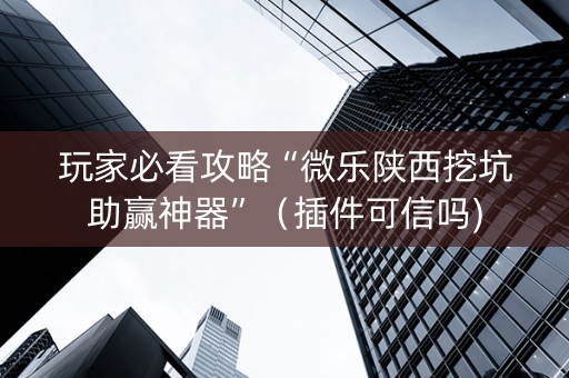 玩家必看攻略“微乐陕西挖坑助赢神器”（插件可信吗)
