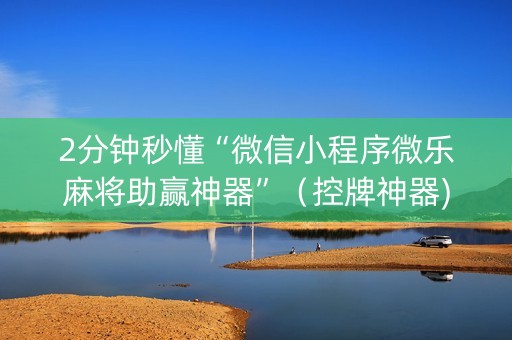 2分钟秒懂“微信小程序微乐麻将助赢神器”（控牌神器)
