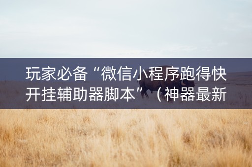 玩家必备“微信小程序跑得快开挂辅助器脚本”（神器最新免费)