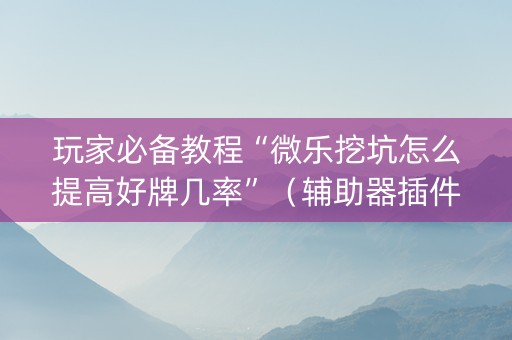玩家必备教程“微乐挖坑怎么提高好牌几率”（辅助器插件)