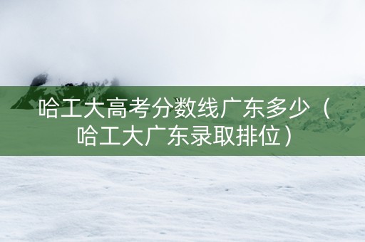 哈工大高考分数线广东多少（哈工大广东录取排位）