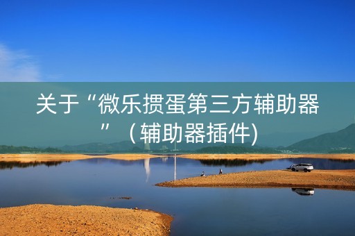 关于“微乐掼蛋第三方辅助器”（辅助器插件)