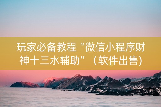 玩家必备教程“微信小程序财神十三水辅助”（软件出售)