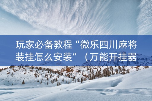 玩家必备教程“微乐四川麻将装挂怎么安装”（万能开挂器)