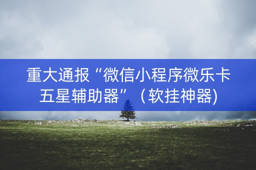 重大通报“微信小程序微乐卡五星辅助器”（软挂神器)