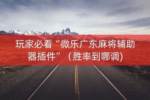 玩家必看“微乐广东麻将辅助器插件”（胜率到哪调)