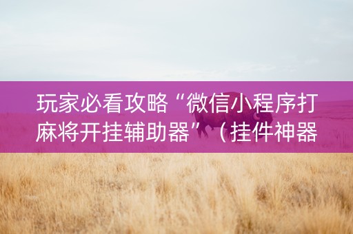 玩家必看攻略“微信小程序打麻将开挂辅助器”（挂件神器)