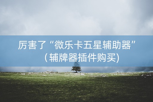 厉害了“微乐卡五星辅助器”（辅牌器插件购买)