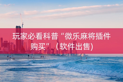 玩家必看科普“微乐麻将插件购买”（软件出售)