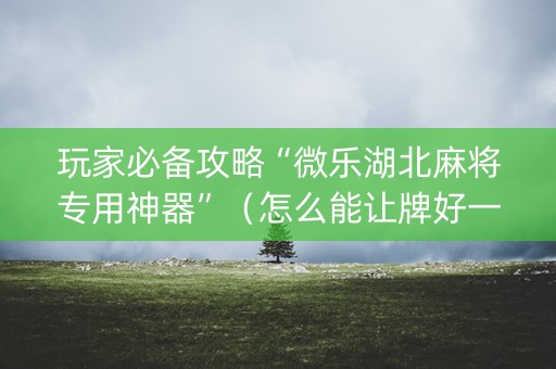 玩家必备攻略“微乐湖北麻将专用神器”（怎么能让牌好一点)