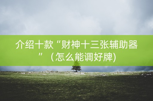 介绍十款“财神十三张辅助器”（怎么能调好牌)