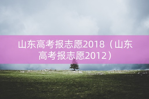 山东高考报志愿2018（山东高考报志愿2012）