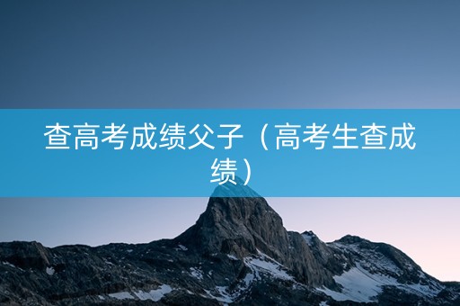 查高考成绩父子（高考生查成绩）