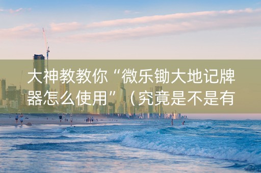 大神教教你“微乐锄大地记牌器怎么使用”（究竟是不是有挂)