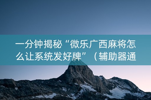 一分钟揭秘“微乐广西麻将怎么让系统发好牌”（辅助器通用版)