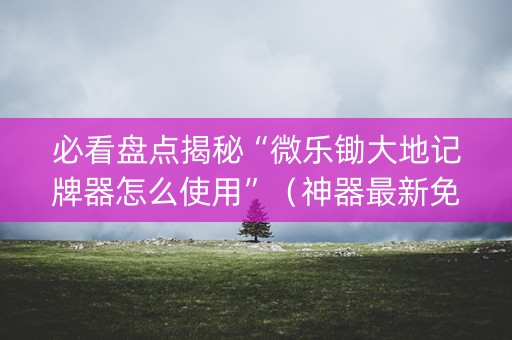 必看盘点揭秘“微乐锄大地记牌器怎么使用”（神器最新免费)