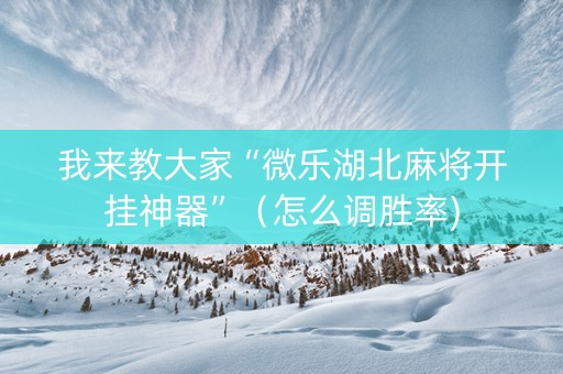 我来教大家“微乐湖北麻将开挂神器”（怎么调胜率)