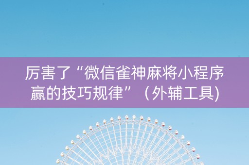 厉害了“微信雀神麻将小程序赢的技巧规律”（外辅工具)