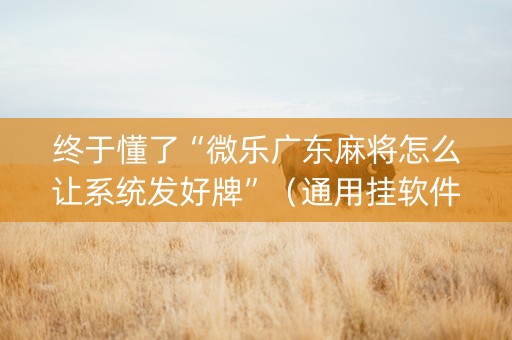 终于懂了“微乐广东麻将怎么让系统发好牌”（通用挂软件多少钱)