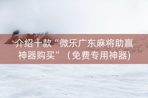 介绍十款“微乐广东麻将助赢神器购买”（免费专用神器)