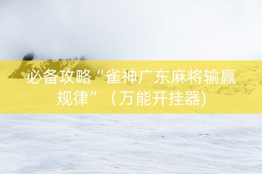 必备攻略“雀神广东麻将输赢规律”（万能开挂器)