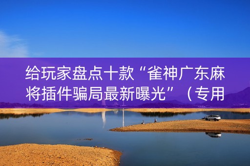 给玩家盘点十款“雀神广东麻将插件骗局最新曝光”（专用神器)
