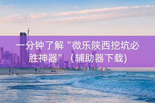 一分钟了解“微乐陕西挖坑必胜神器”（辅助器下载)