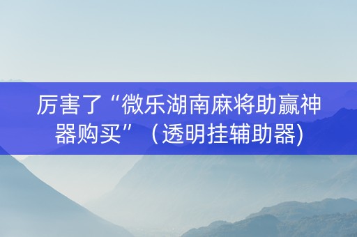厉害了“微乐湖南麻将助赢神器购买”（透明挂辅助器)