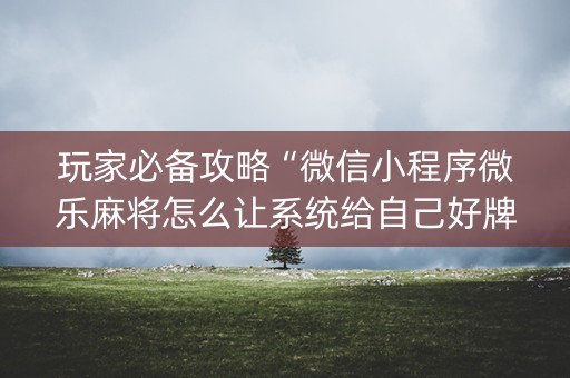 玩家必备攻略“微信小程序微乐麻将怎么让系统给自己好牌”（辅牌器插件购买)