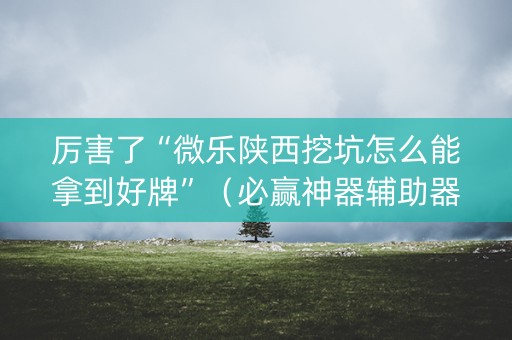 厉害了“微乐陕西挖坑怎么能拿到好牌”（必赢神器辅助器)