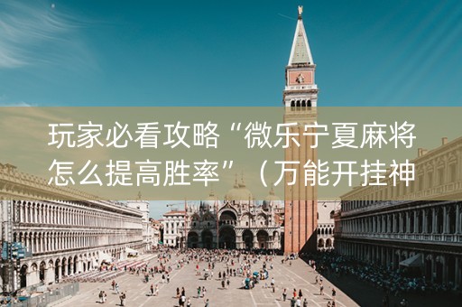 玩家必看攻略“微乐宁夏麻将怎么提高胜率”（万能开挂神器)