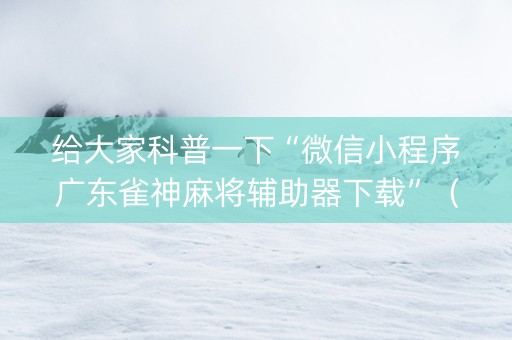 给大家科普一下“微信小程序广东雀神麻将辅助器下载”（开挂辅助脚本)