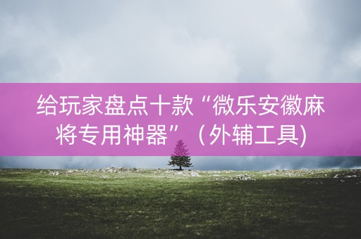 给玩家盘点十款“微乐安徽麻将专用神器”（外辅工具)