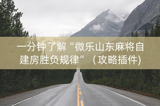 一分钟了解“微乐山东麻将自建房胜负规律”（攻略插件)