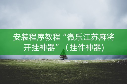 安装程序教程“微乐江苏麻将开挂神器”（挂件神器)
