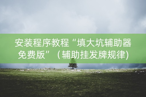 安装程序教程“填大坑辅助器免费版”（辅助挂发牌规律)