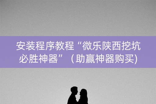 安装程序教程“微乐陕西挖坑必胜神器”（助赢神器购买)
