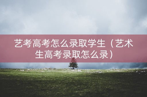 艺考高考怎么录取学生（艺术生高考录取怎么录）