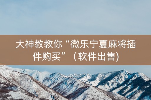 大神教教你“微乐宁夏麻将插件购买”（软件出售)