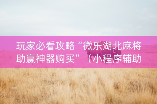 玩家必看攻略“微乐湖北麻将助赢神器购买”（小程序辅助软件)