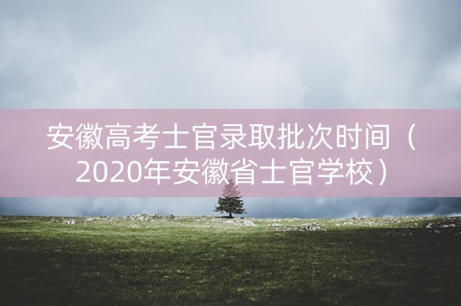 安徽高考士官录取批次时间（2020年安徽省士官学校）