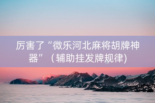 厉害了“微乐河北麻将胡牌神器”（辅助挂发牌规律)