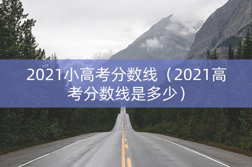 2021小高考分数线（2021高考分数线是多少）