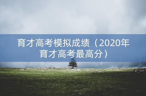育才高考模拟成绩（2020年育才高考最高分）