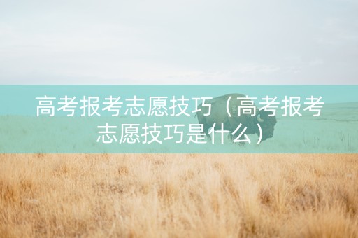高考报考志愿技巧（高考报考志愿技巧是什么）